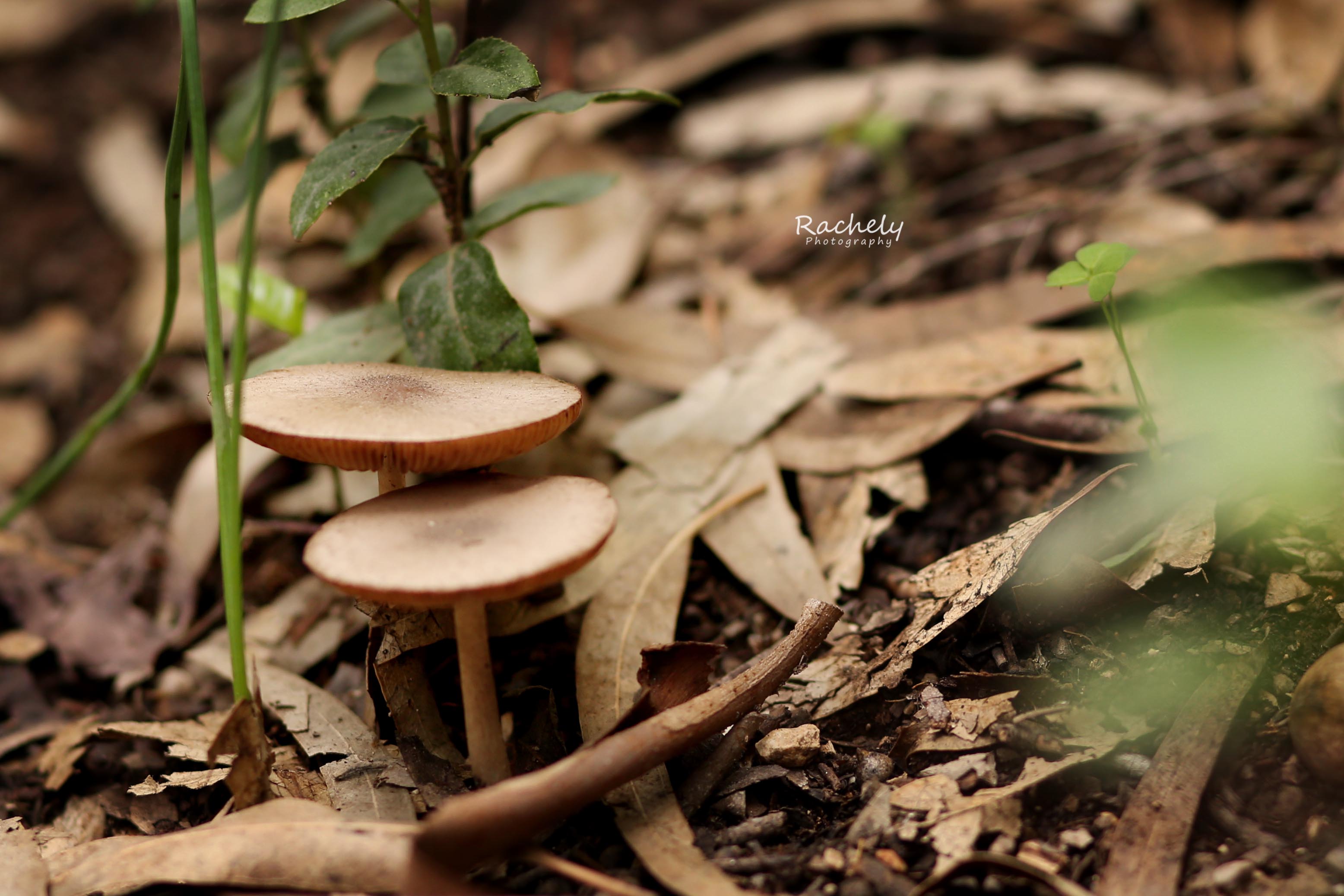 IMG_0749- מוקטן.jpg