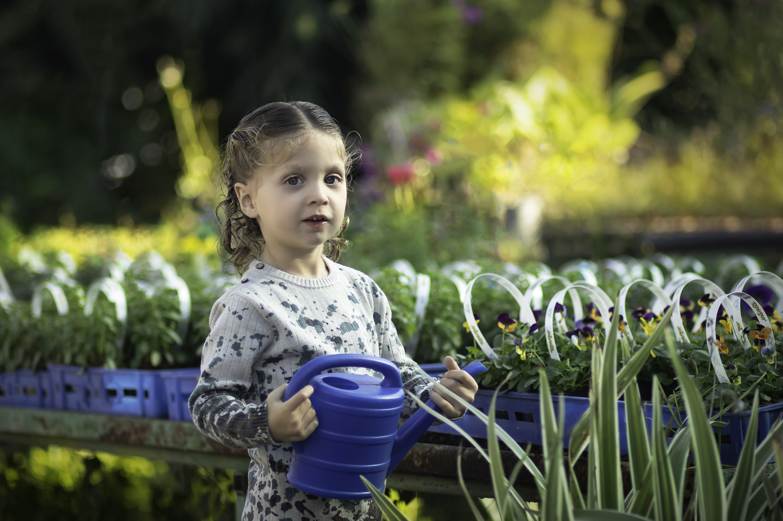 IMG_0959-Edit copy_1600x1066.jpg