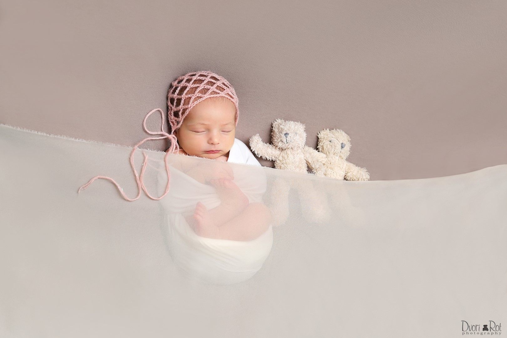 IMG_1016 copy (Large).jpg