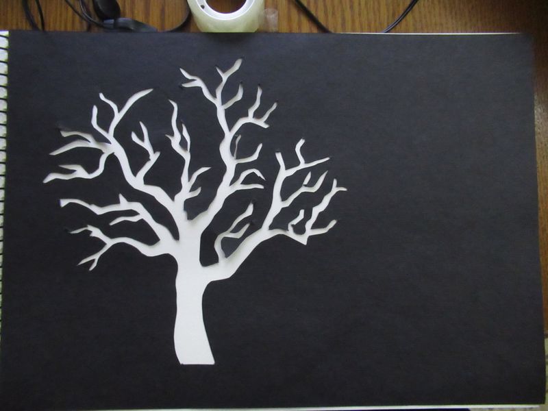 IMG_1057_800x600 (2).jpg