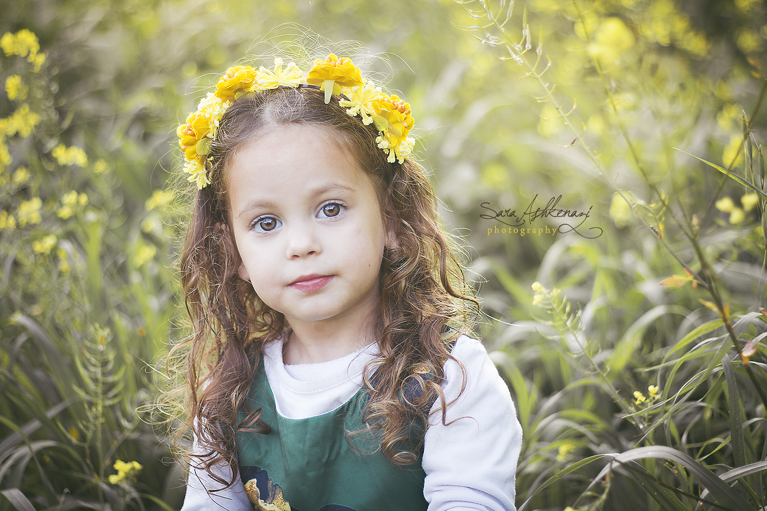 IMG_1068 עריכה  חותמת מוקטן2.jpg