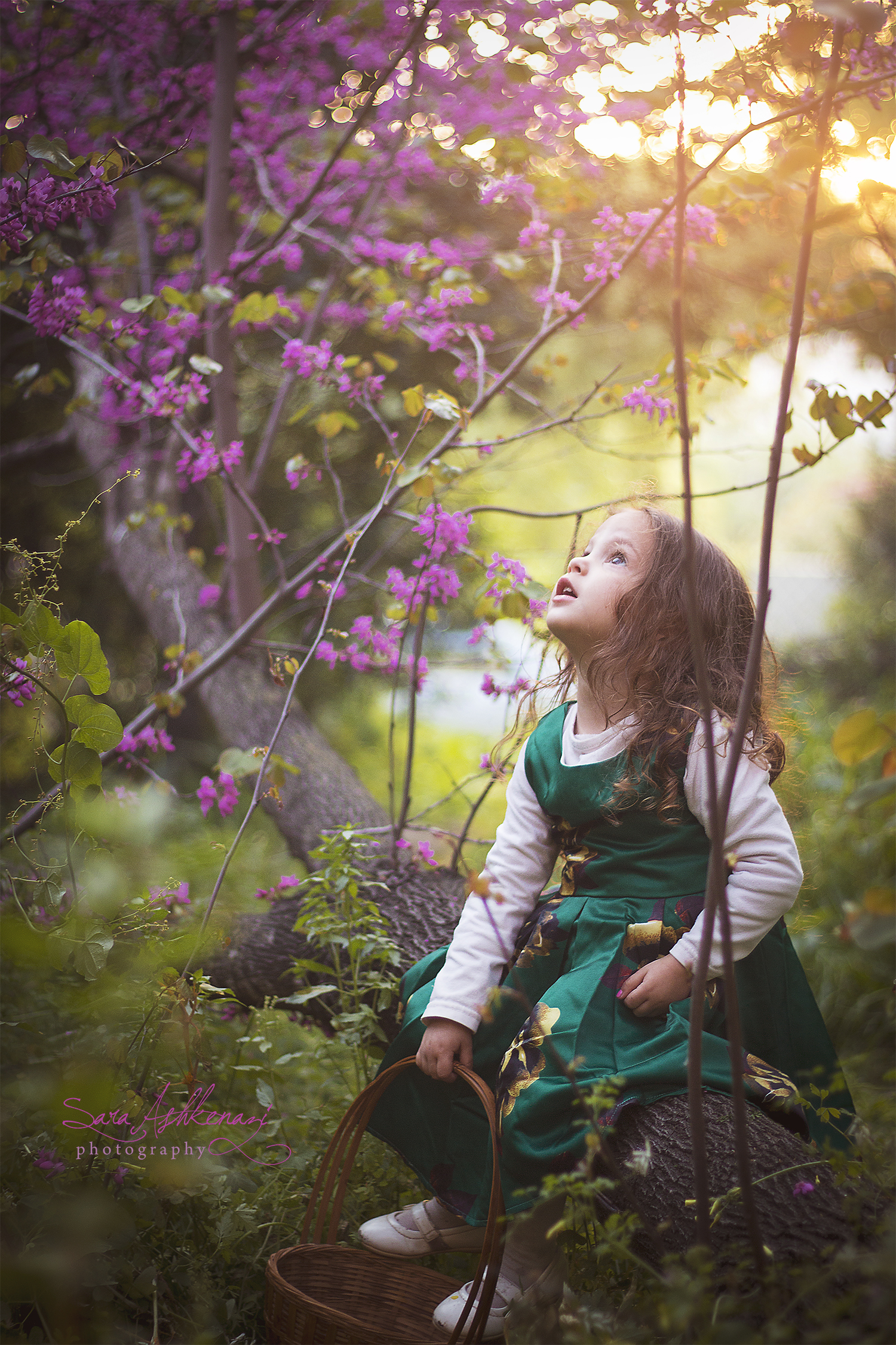 IMG_1129 ערוך 2 - מוקטן חתימהעותק.jpg