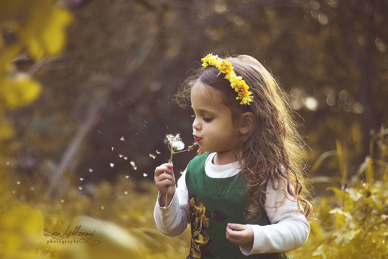 IMG_1134  מוקטןערוך חדש.jpg