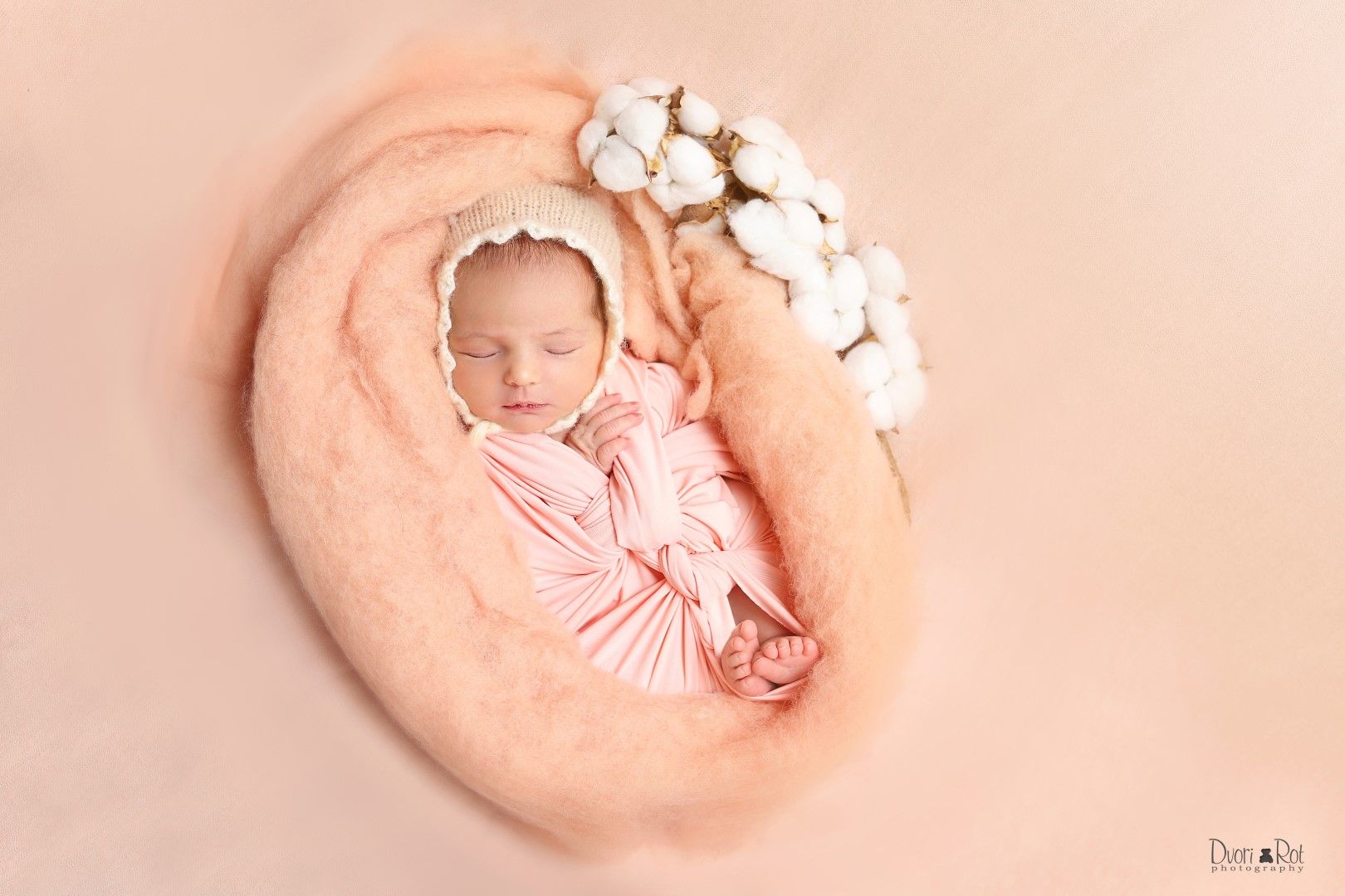 IMG_1135 0 (Large).jpg