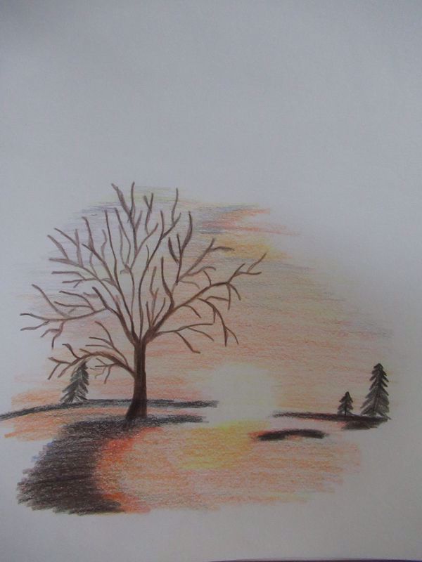 IMG_1159_800x600_600x800 (1).jpg