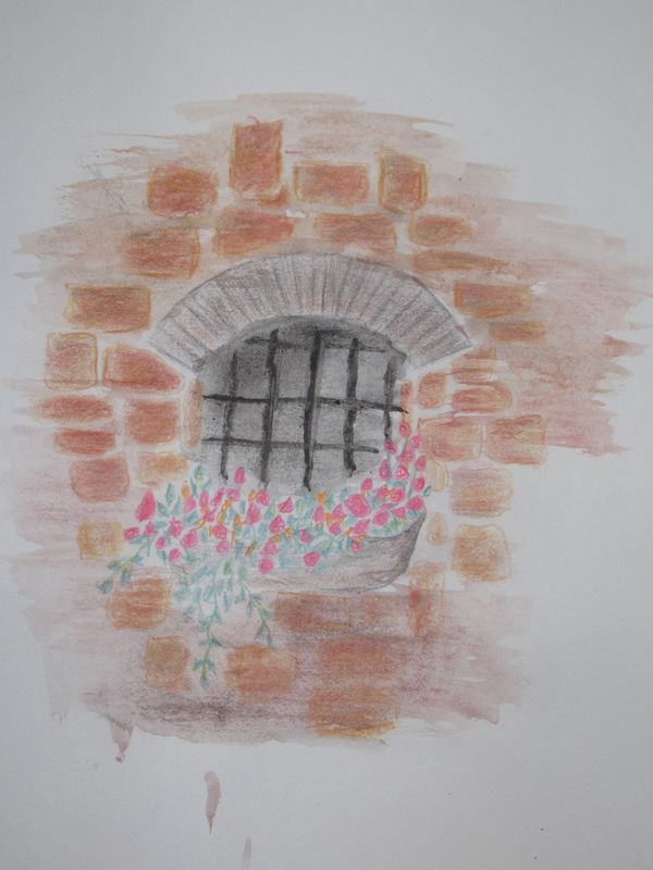 IMG_1173_800x600 (1).jpg