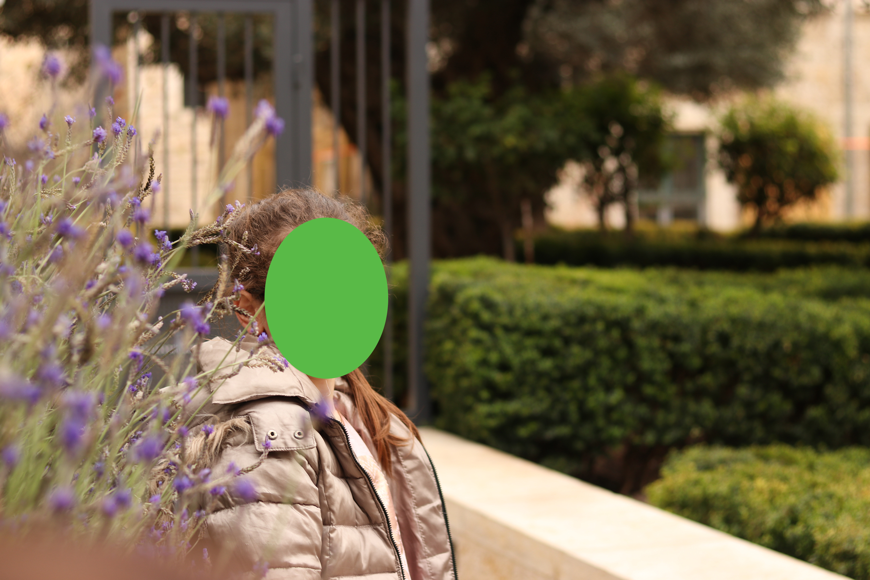 IMG_1187 לפרוג.jpg