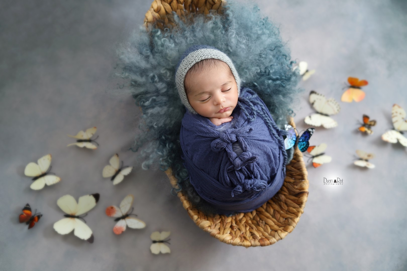 IMG_1230 copy (Large).jpg