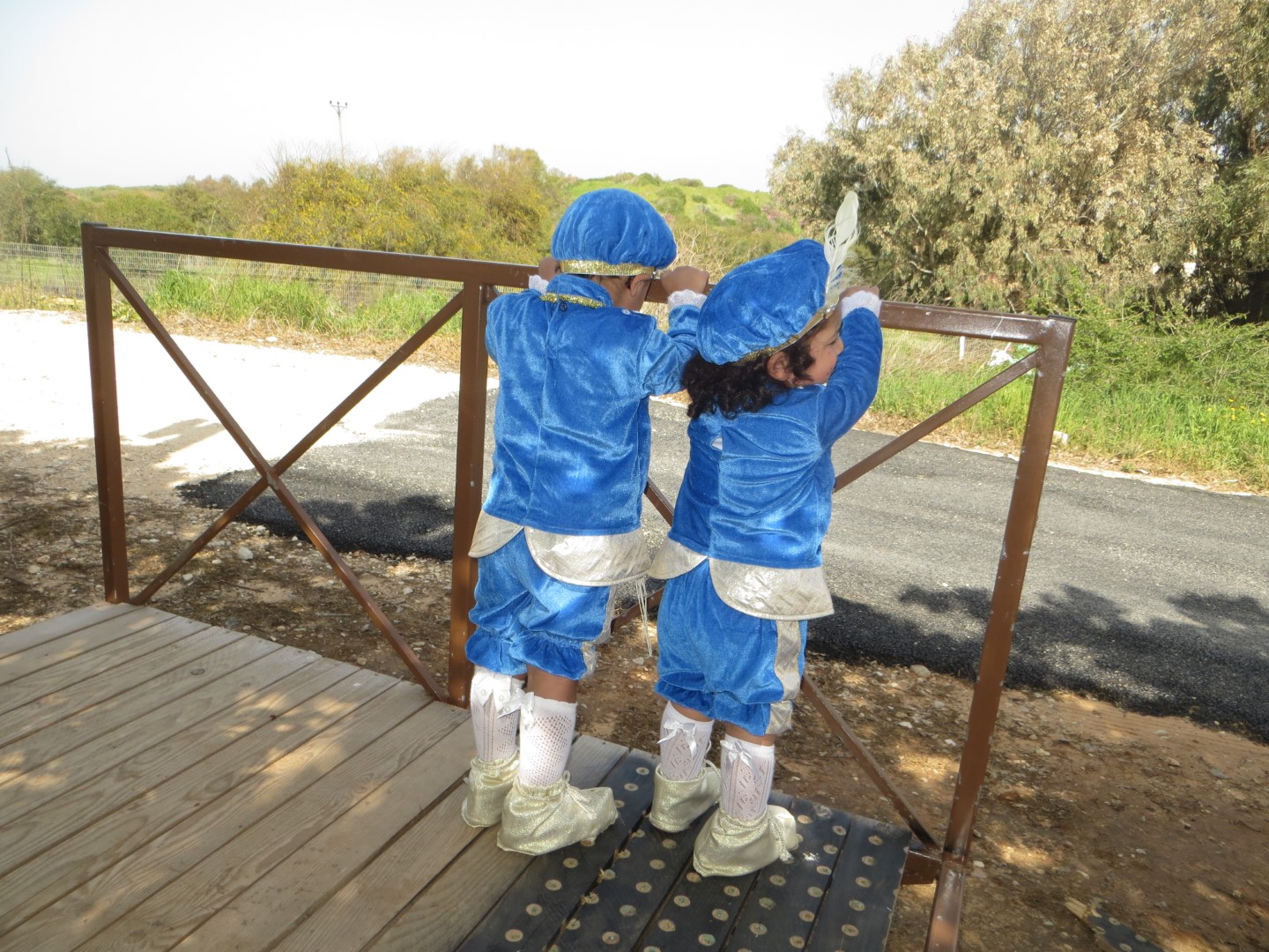 IMG_1234 (Large).JPG