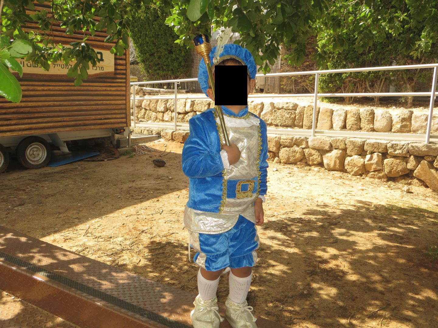 IMG_1258 (Large).png