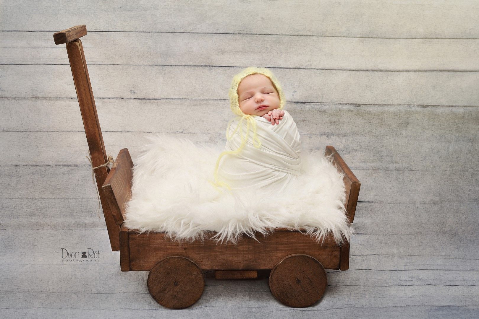 IMG_1262  0 (Large).jpg