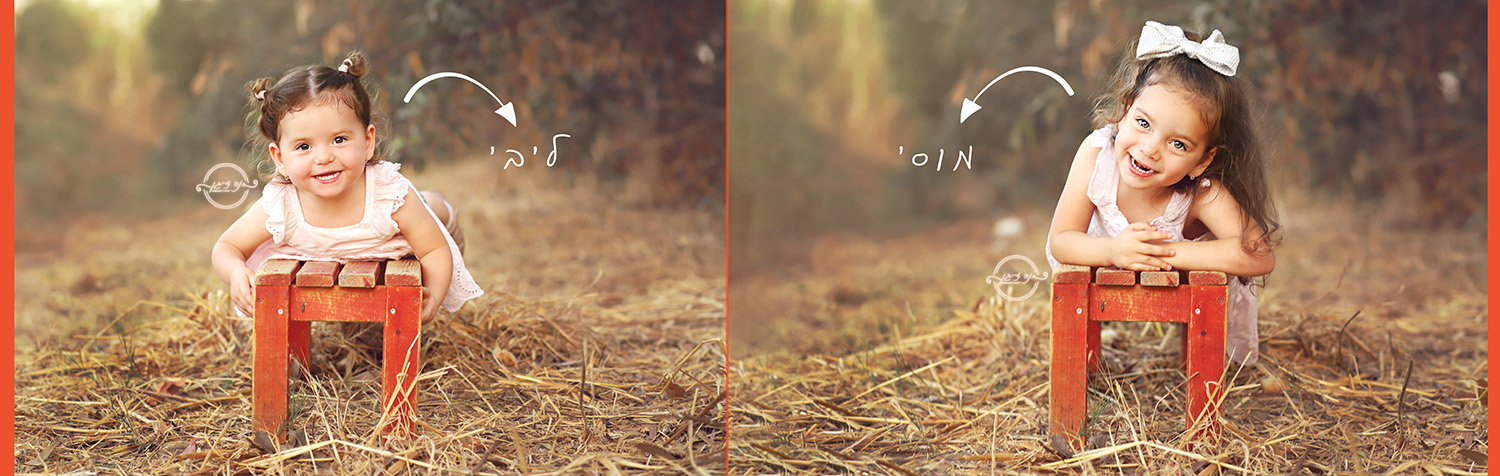 IMG_1318לוגומוקטן חיצים.jpg