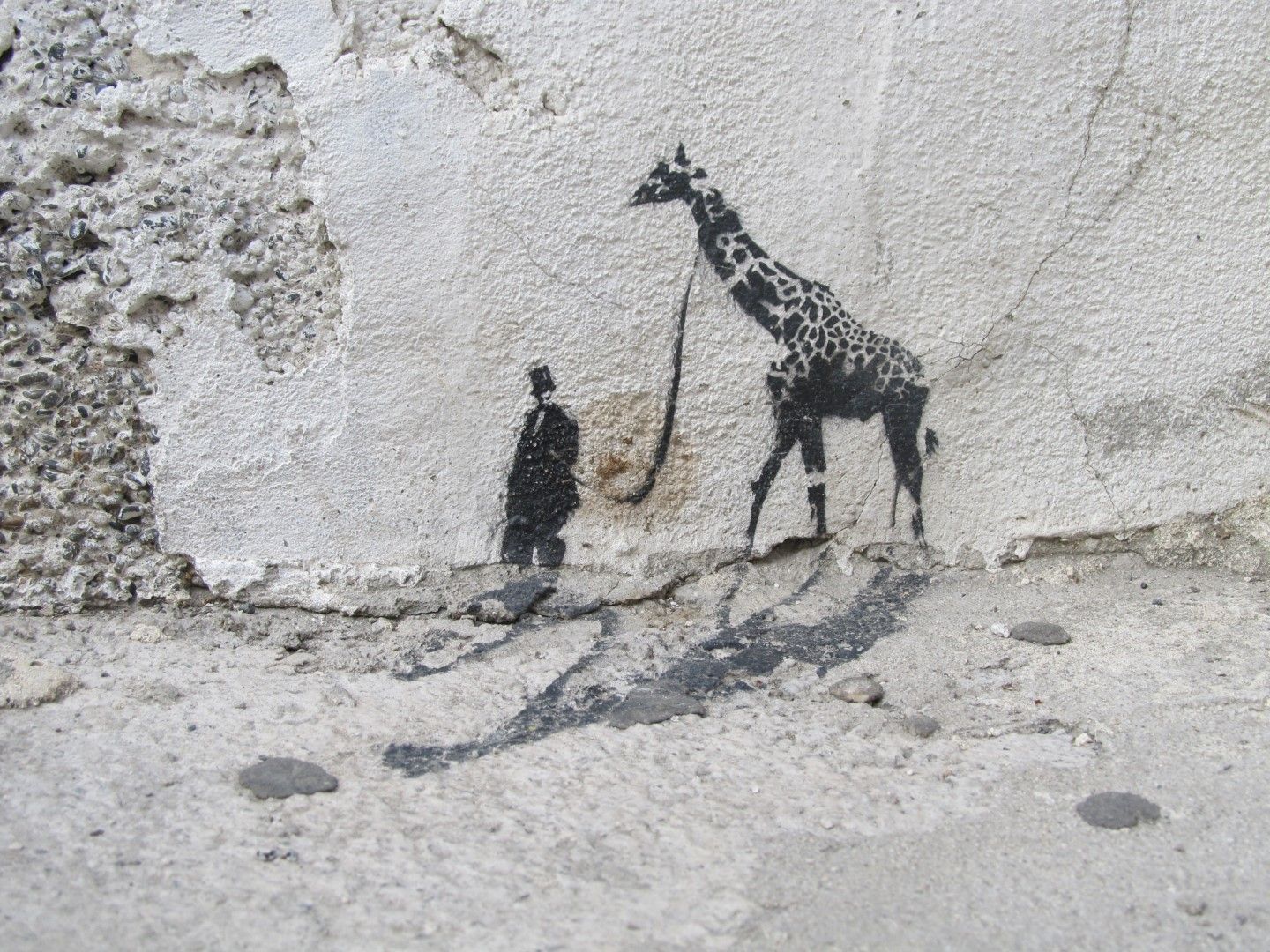 IMG_1401 (Large).JPG