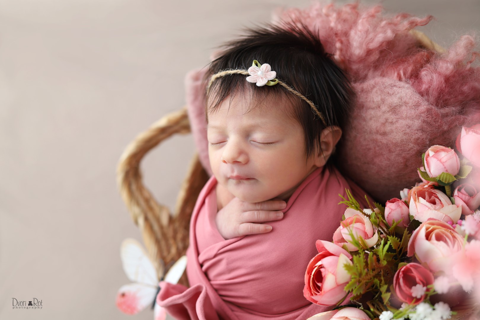 IMG_1480 (Large).jpg