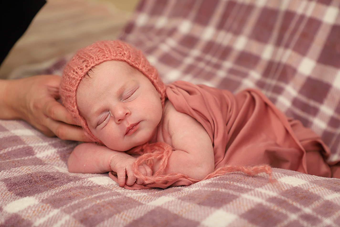 IMG_1486 מקור מוקטן.jpg