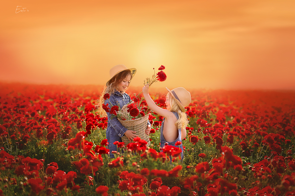 IMG_1674-Recovered ממ.jpg