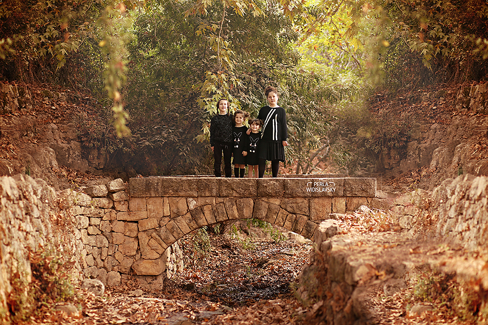 IMG_1677 - יעותק.jpg