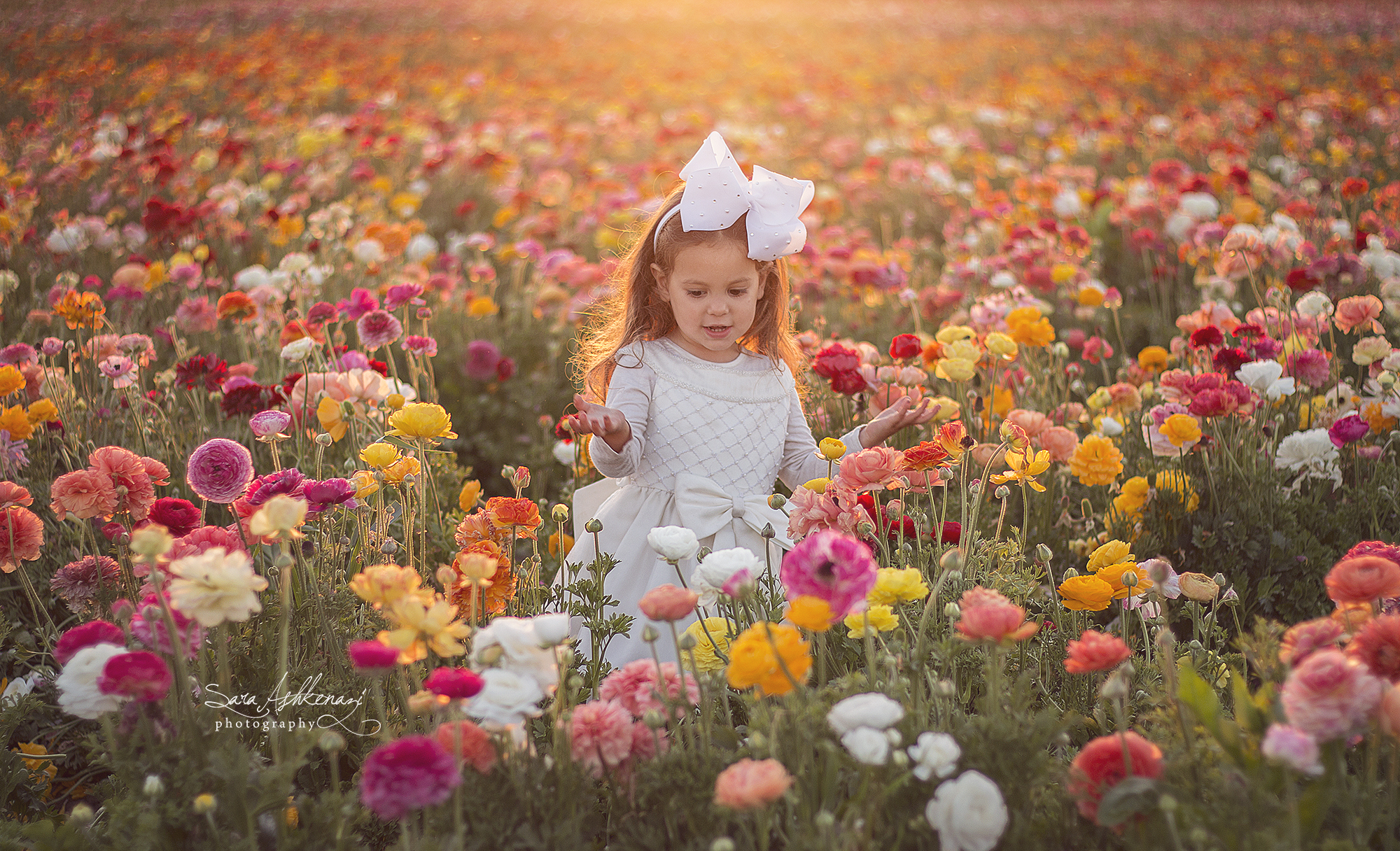 IMG_1745 ערוך מוקטן.jpg