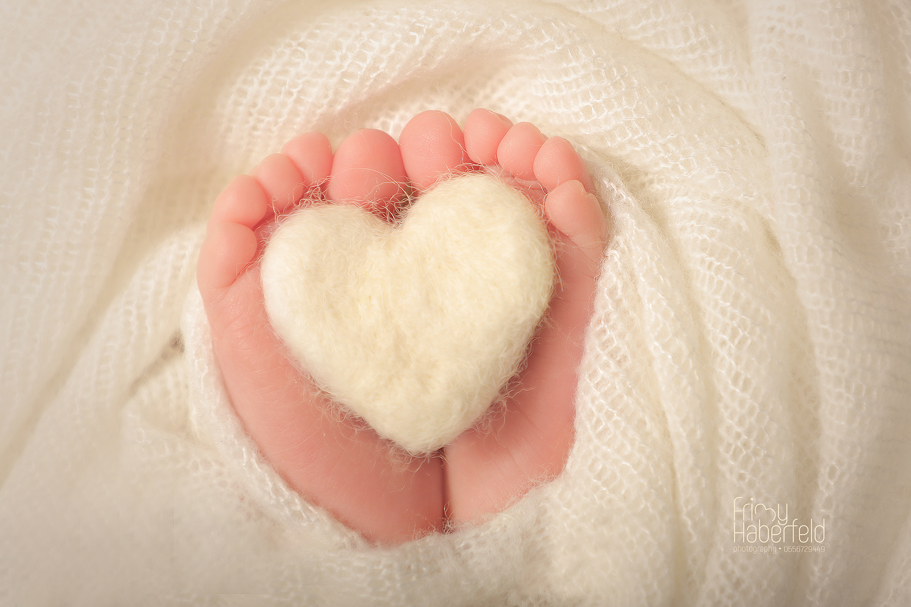 IMG_1826איכות נמוכה.jpg