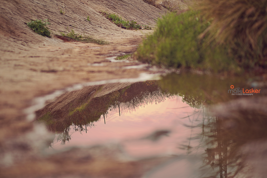 IMG_1836 ר נמוכה.png