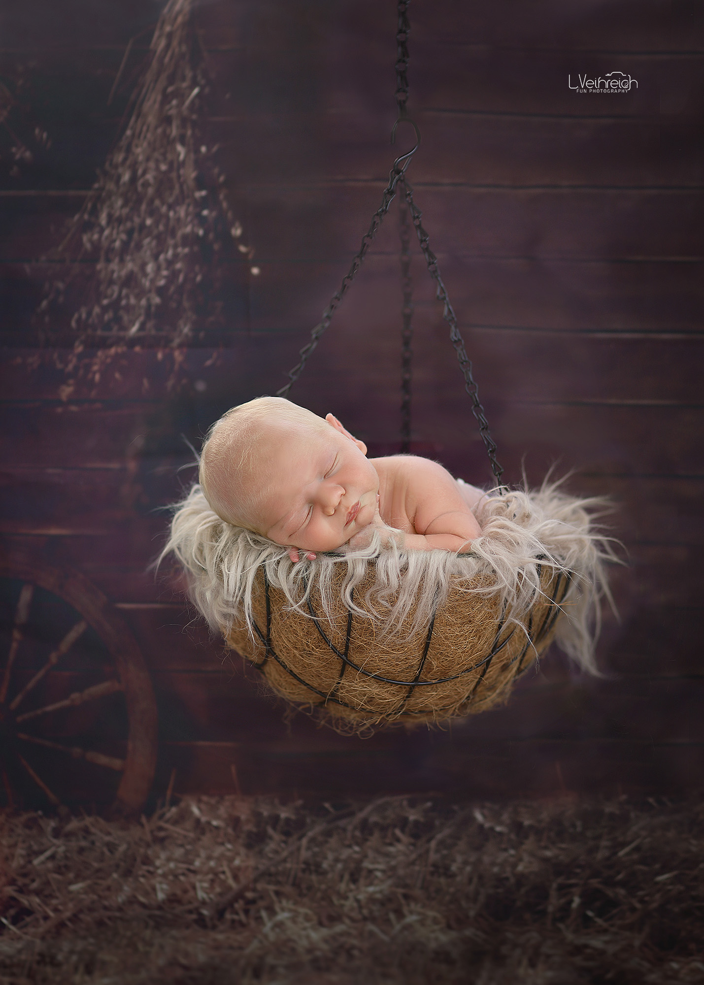 IMG_1959 קטןcopy.jpg