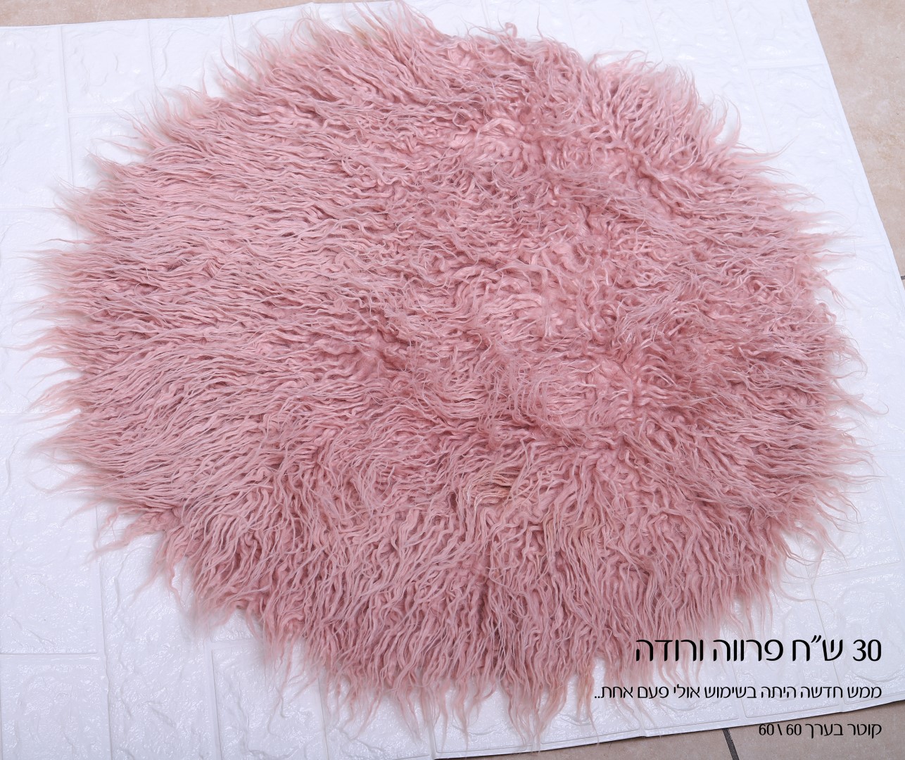 IMG_1981 copy (Large).jpg