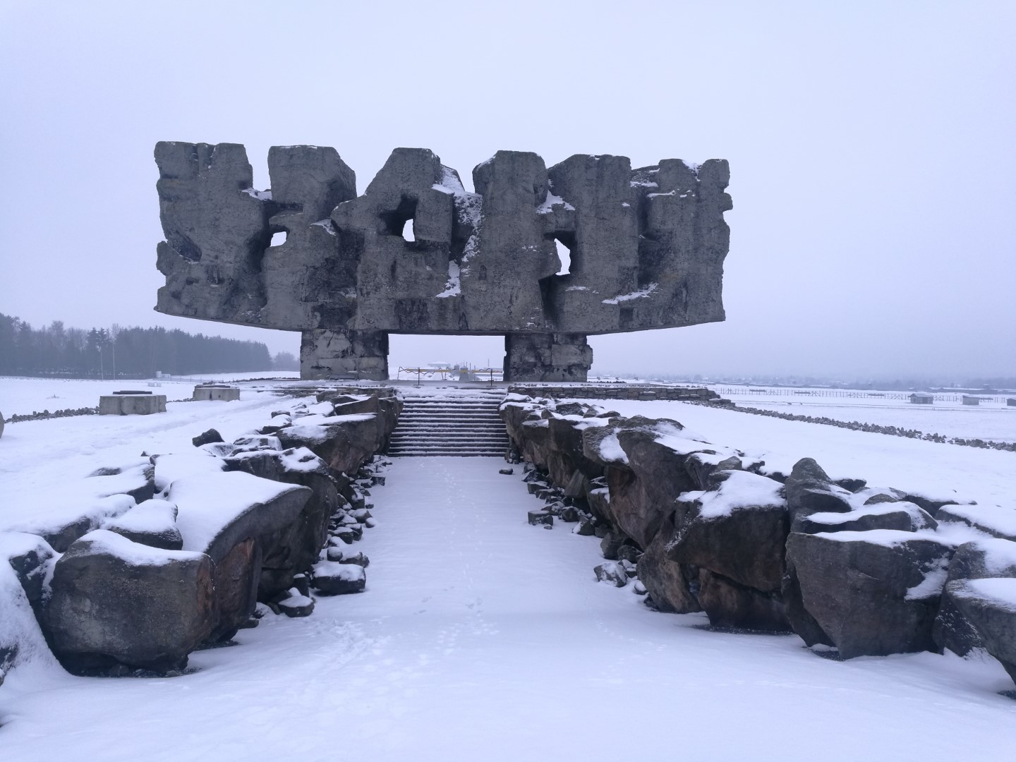 IMG_20180121_092245 (Large).jpg