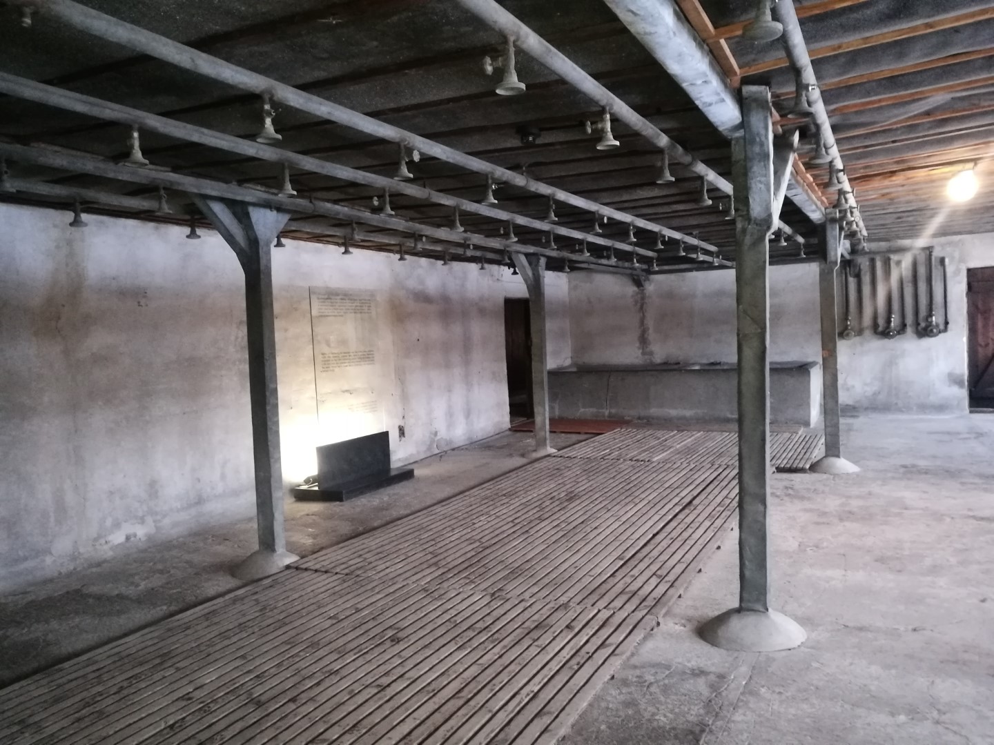 IMG_20180121_094515 (Large).jpg