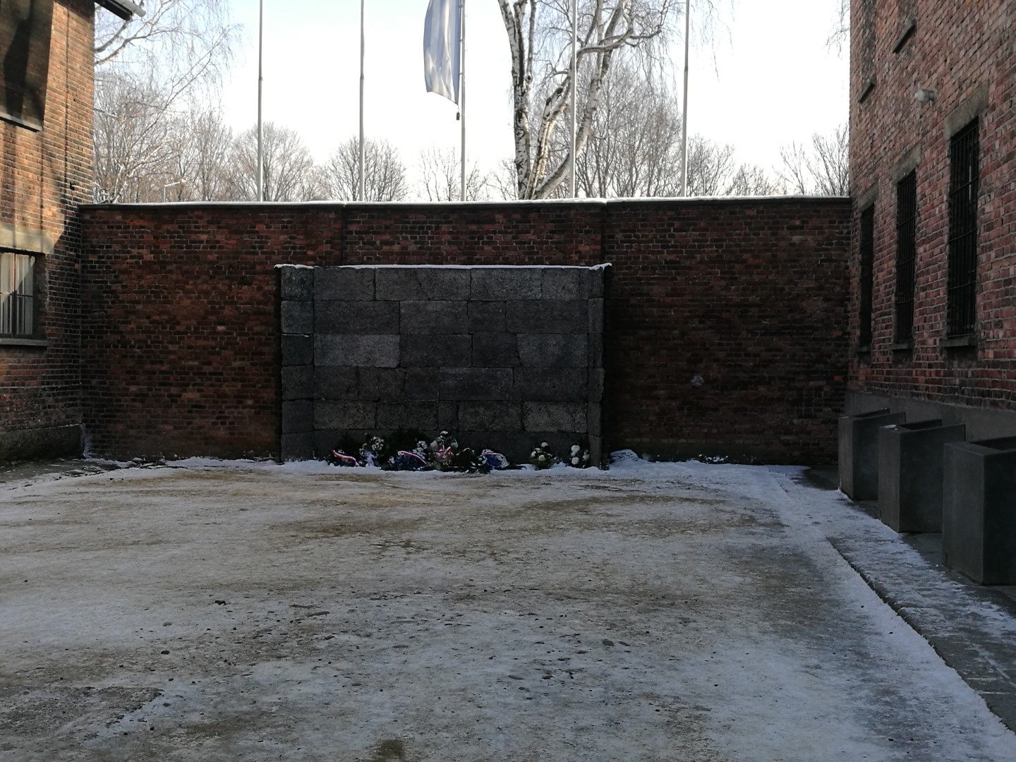 IMG_20180122_124355 (Large).jpg