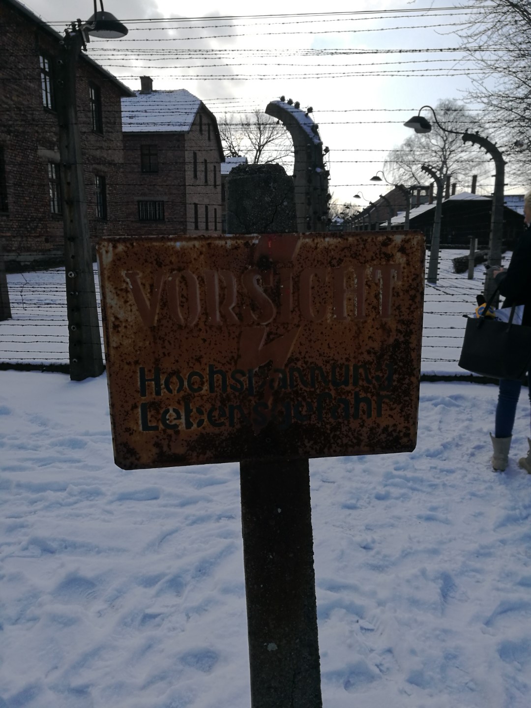 IMG_20180122_131434 (1) (Large).jpg