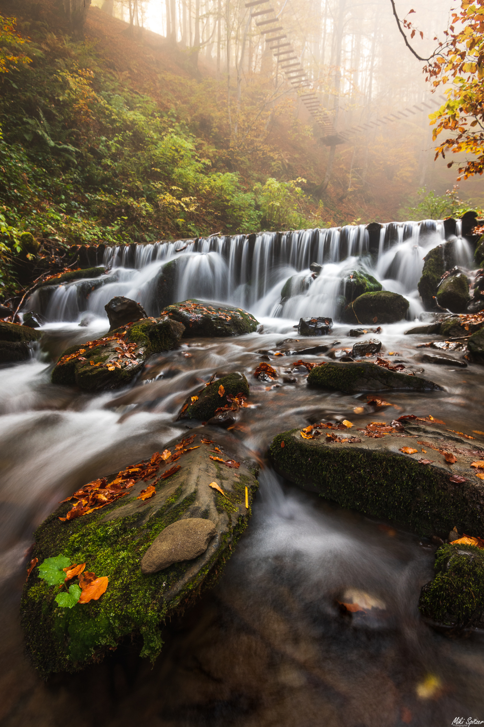 IMG_20230325_224155_221 (1).JPG