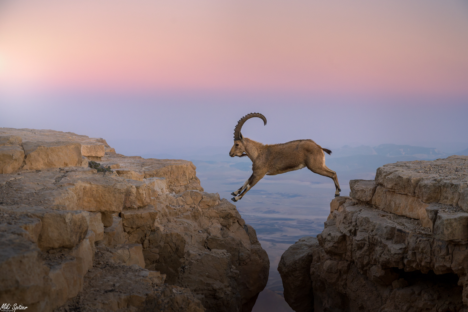 IMG_20240104_205009_997 (1).JPG