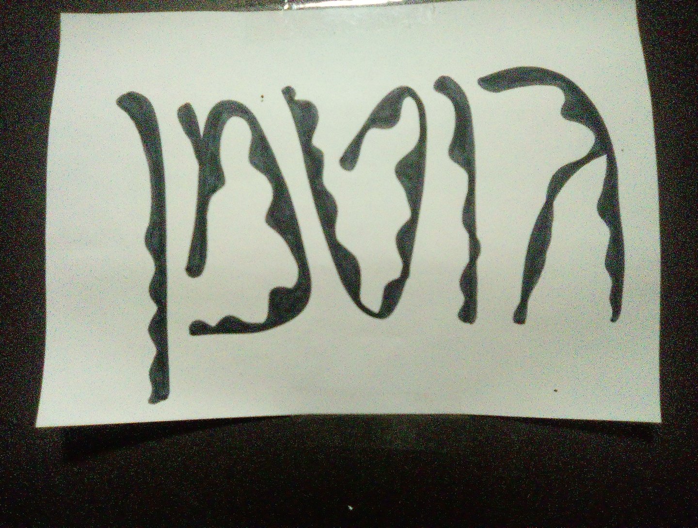 IMG_20251004_205607_002 (1) (1).jpg