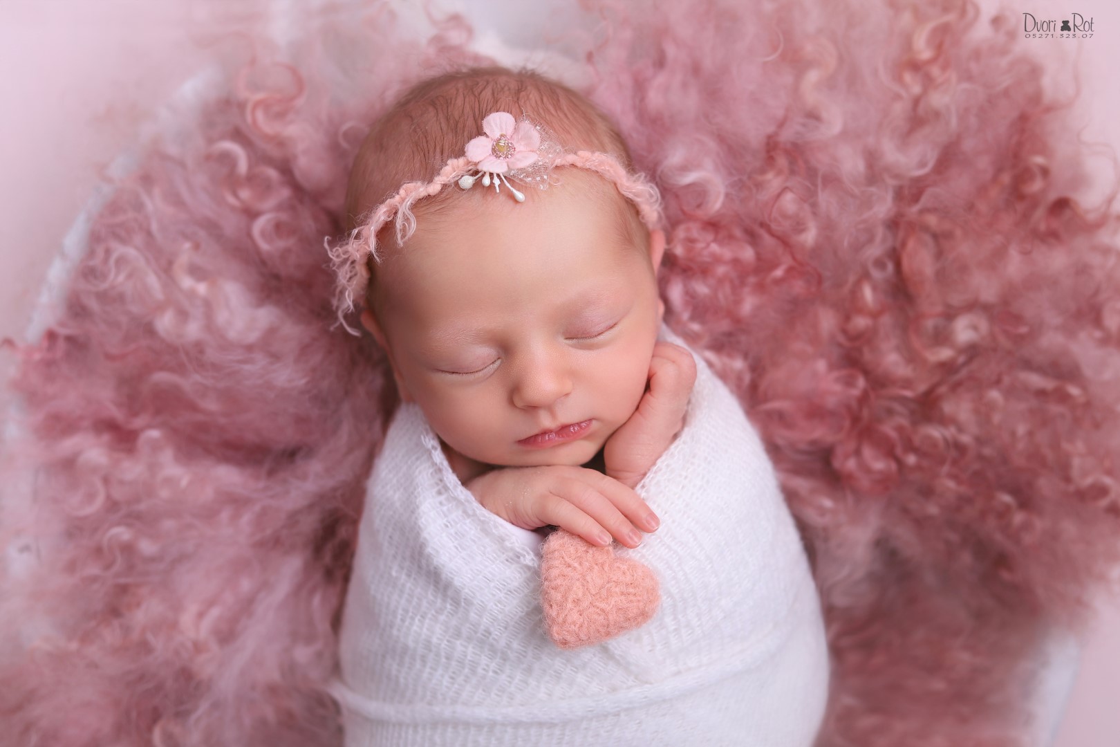 IMG_2117 (Large).jpg