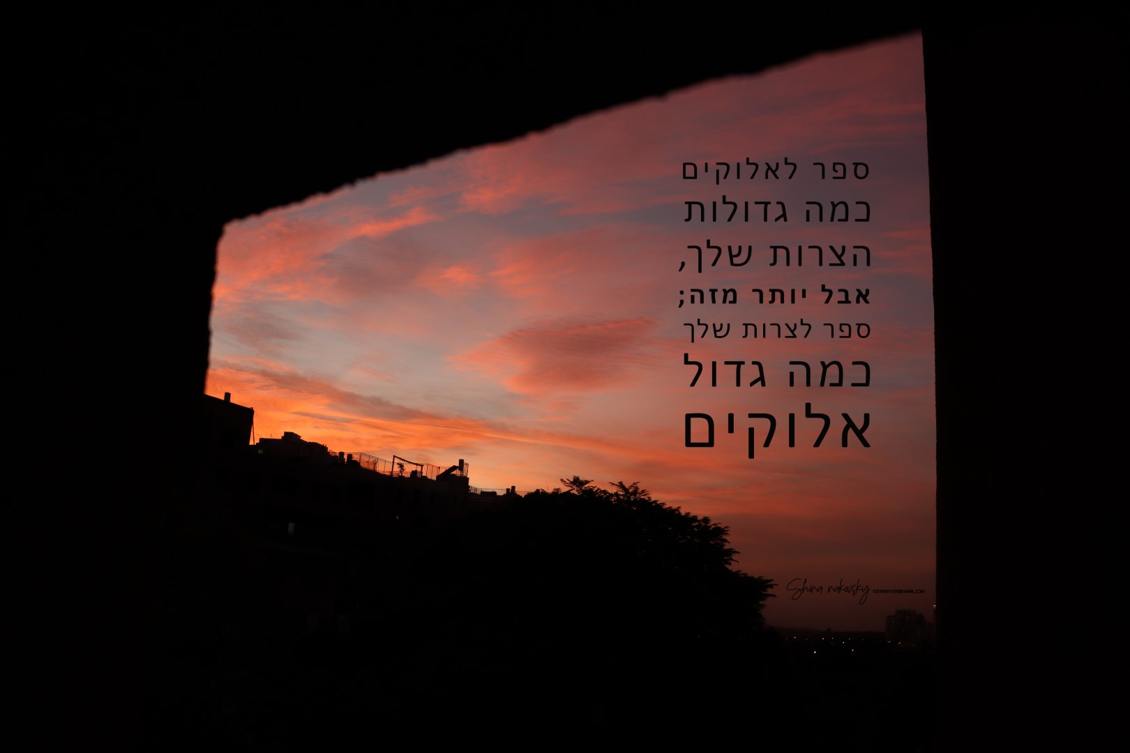 IMG_2130 copy2 (Large).jpg