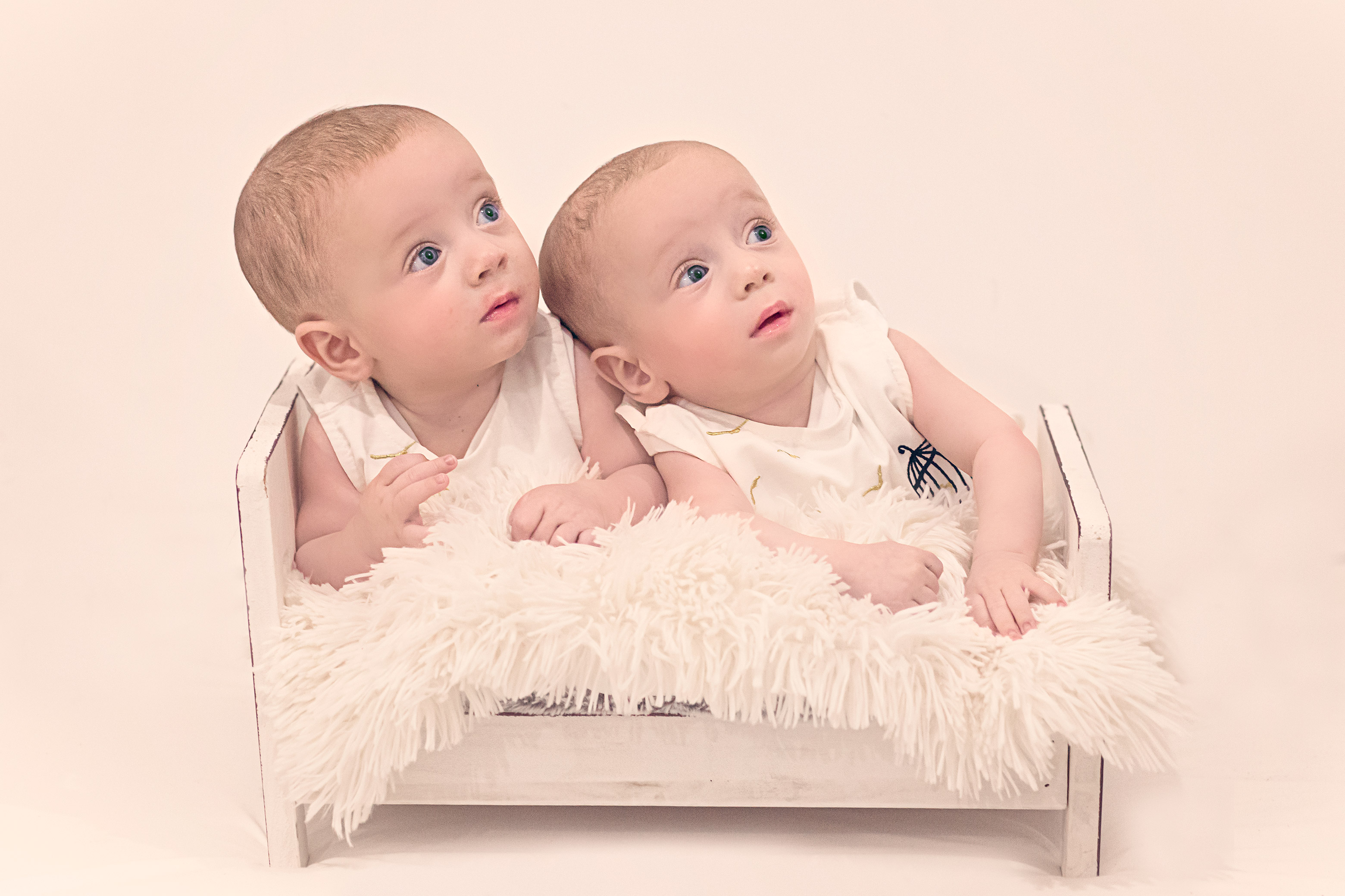 IMG_2152 קרוב אכות נמוכה.jpg