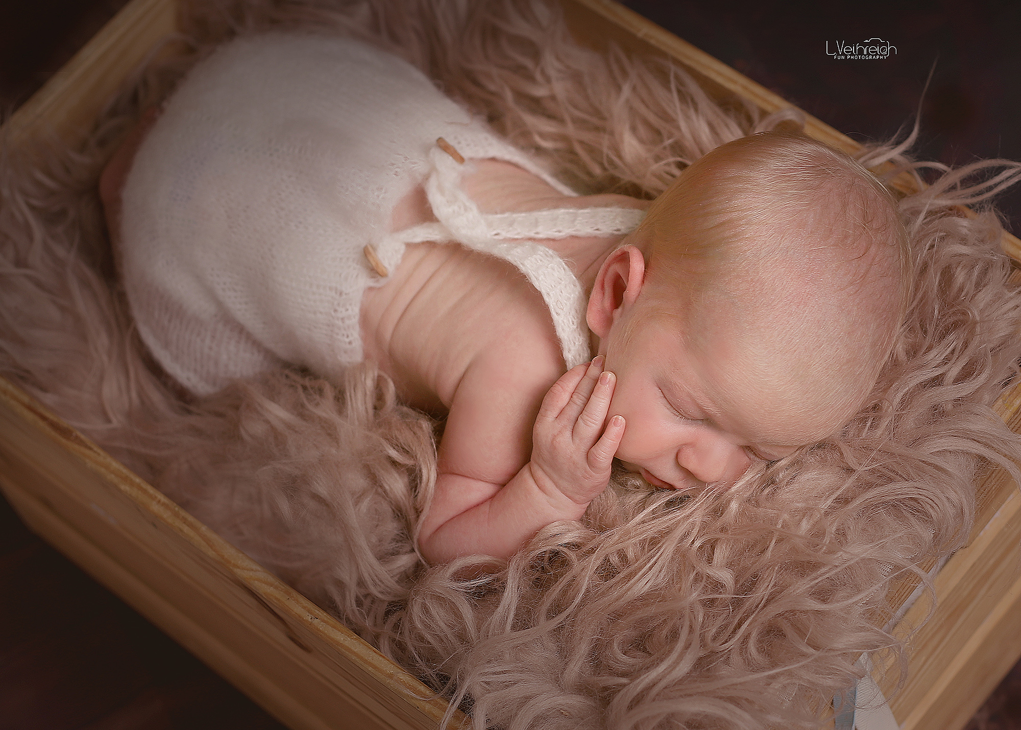 IMG_2178 קטןcopy.jpg