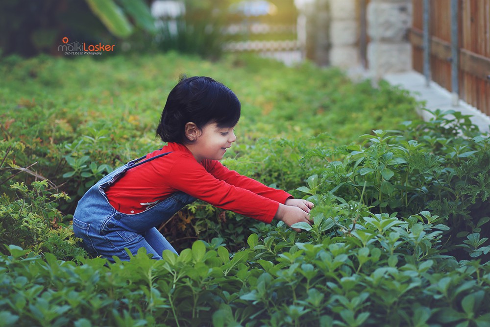 IMG_2456 ר נמוכה.jpg