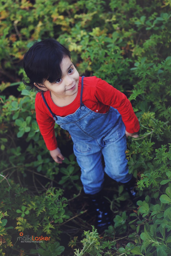 IMG_2491 ר נמוכה.jpg