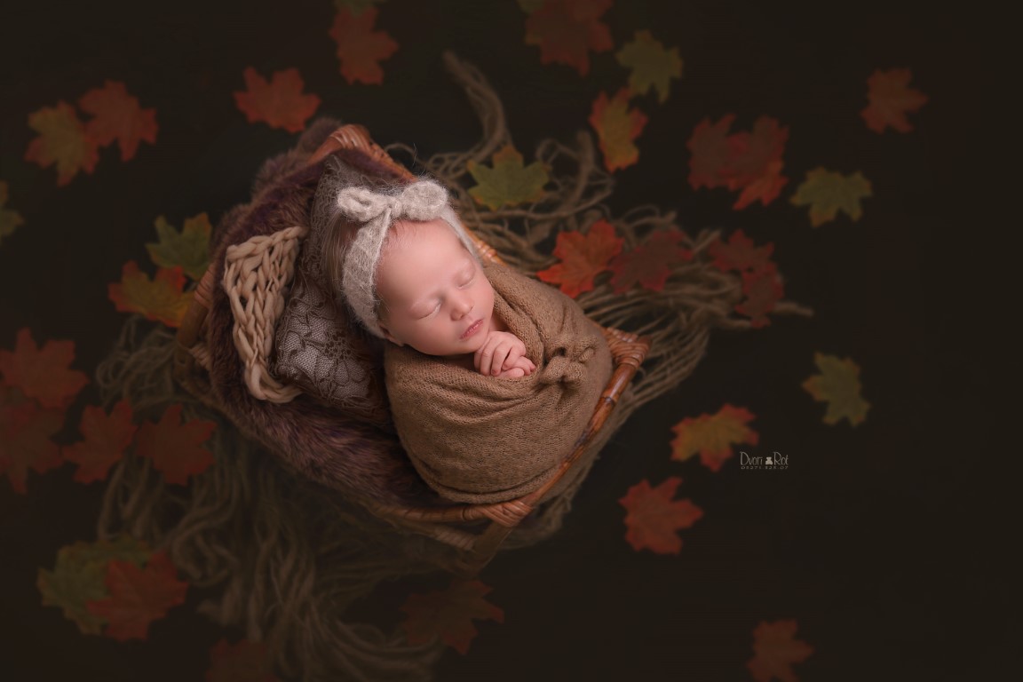 IMG_2704 copy (Medium).jpg