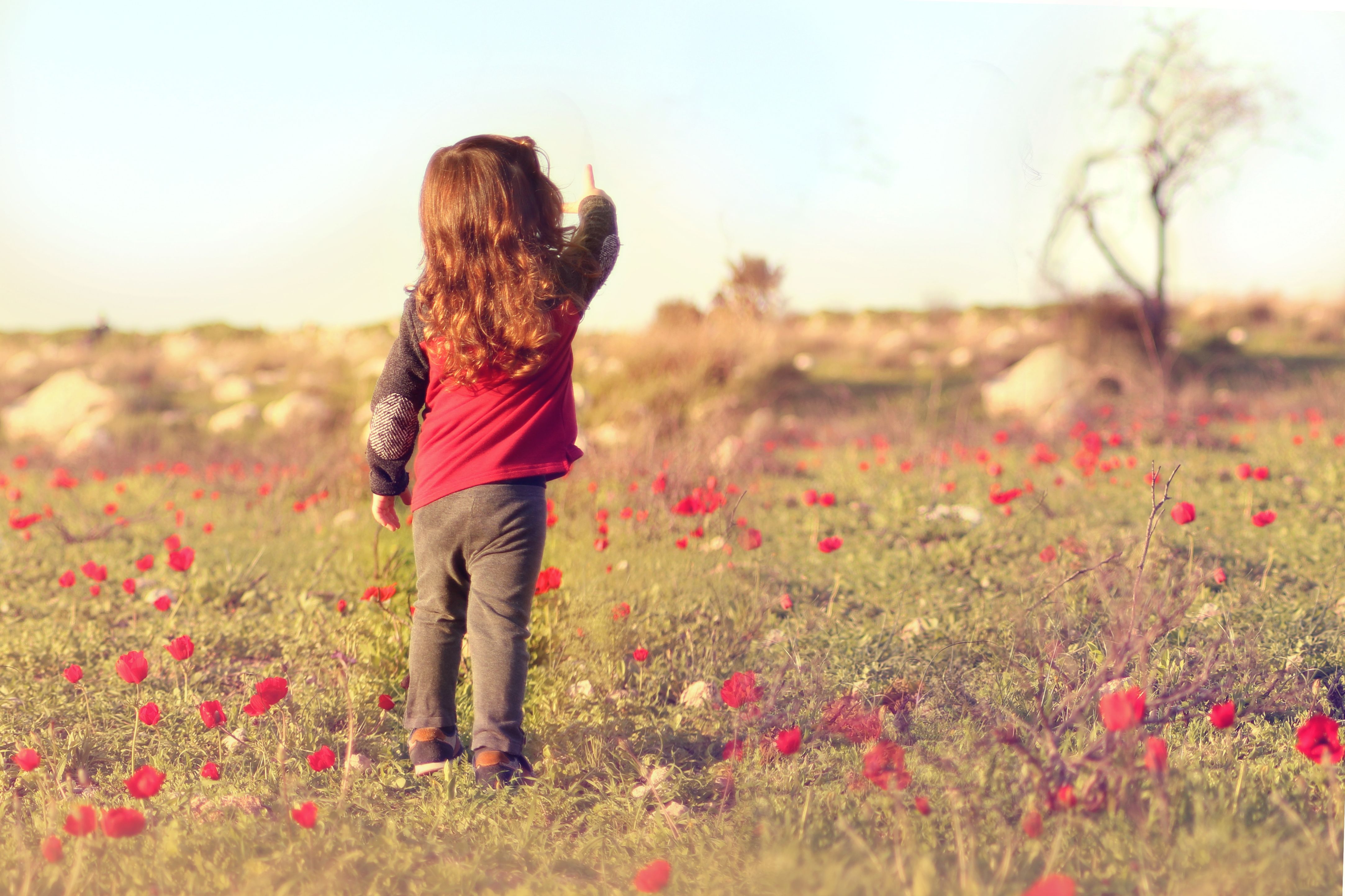 IMG_2725 copy (2).jpg