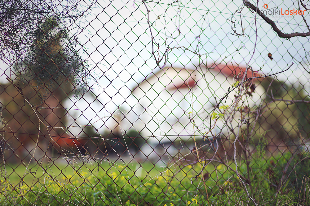 IMG_2735 ר נמוכה.png