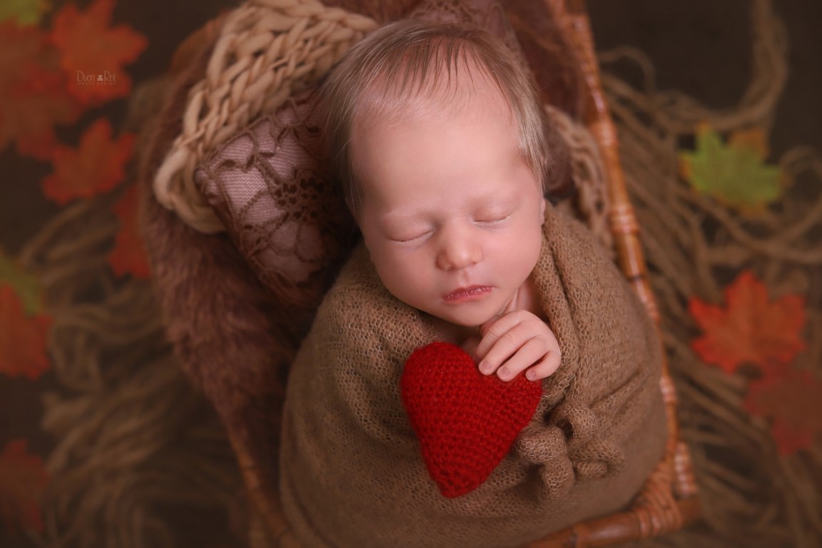 IMG_2738 (Large) (Medium).jpg