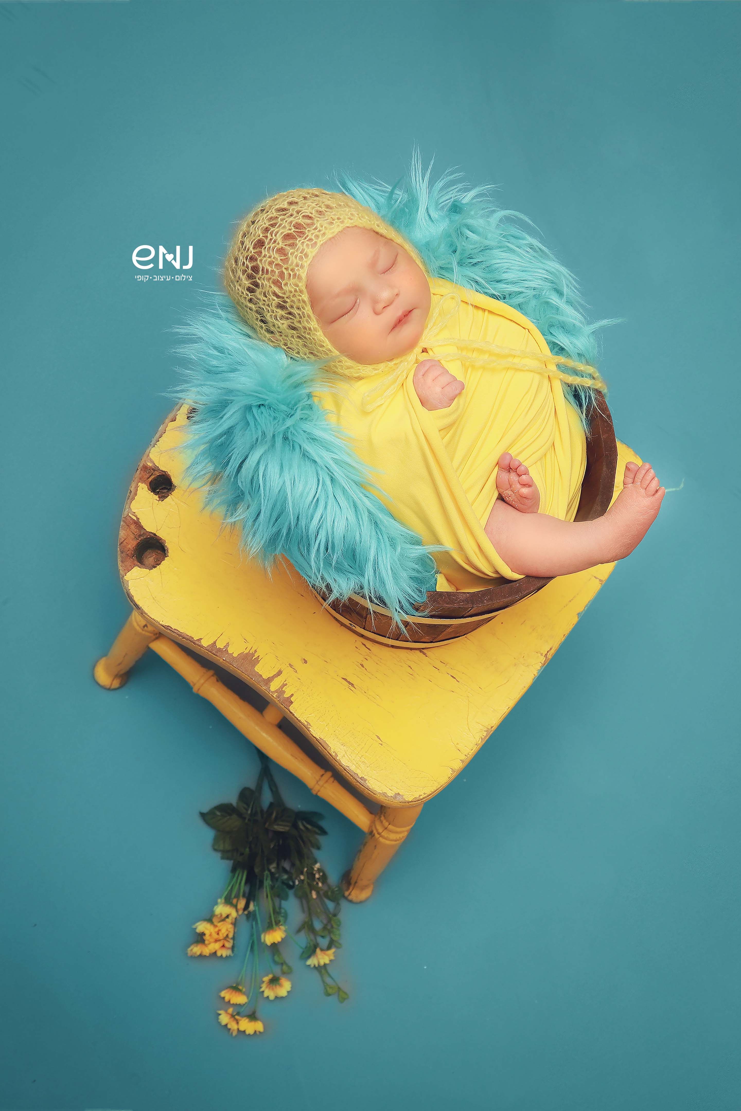 IMG_2769נמוך לוגו.jpg