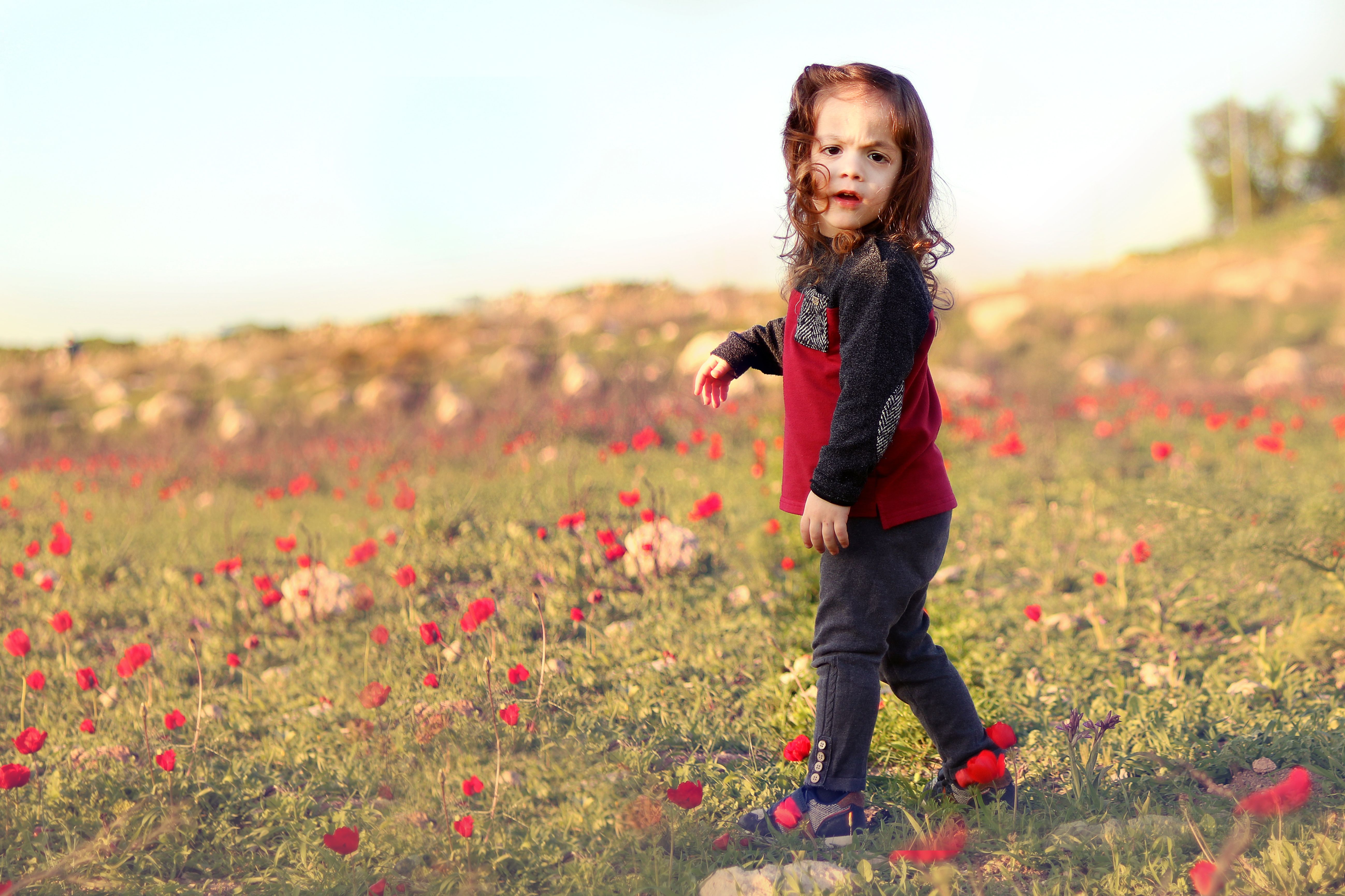 IMG_2779 copy (3).JPG