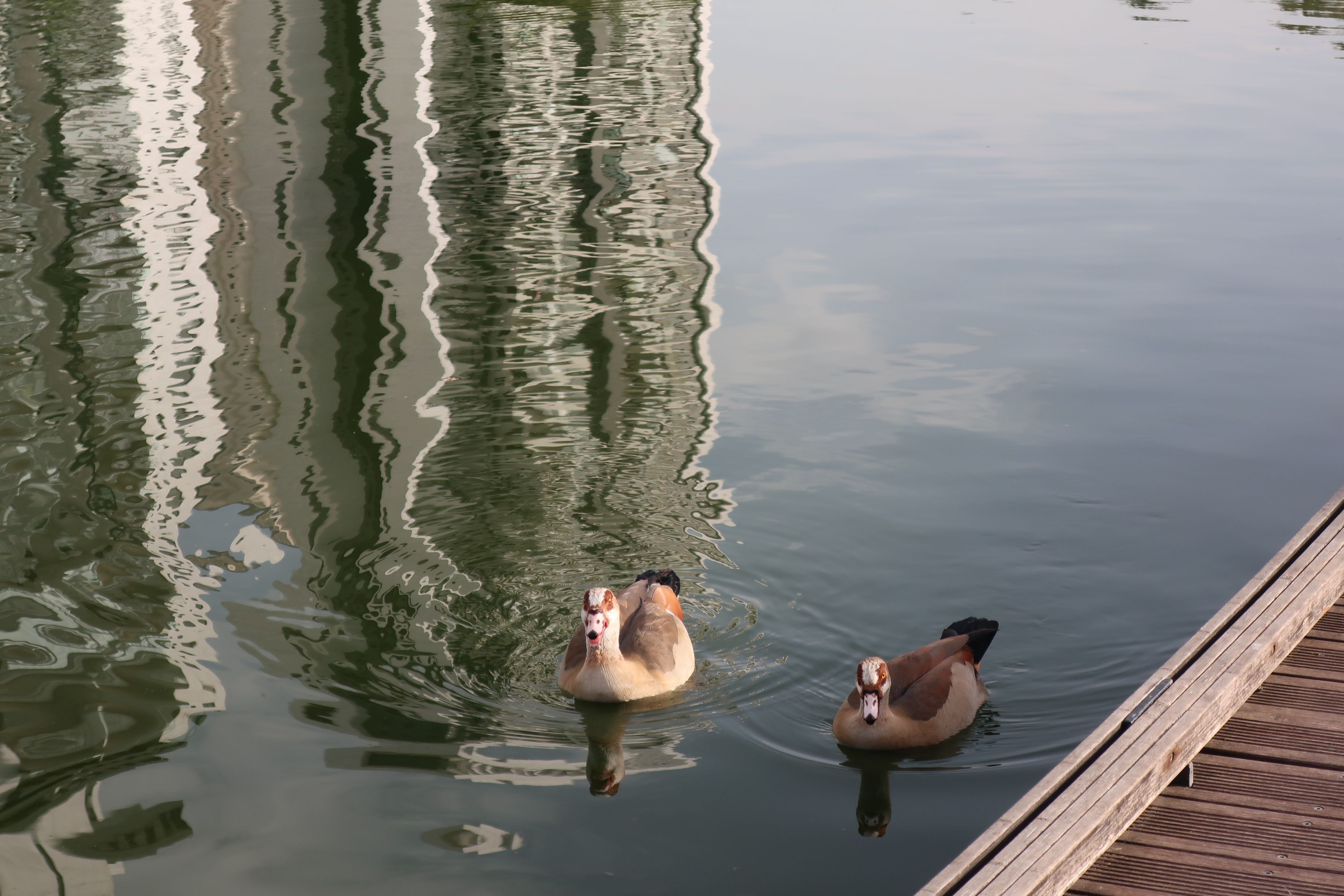 IMG_2784.JPG