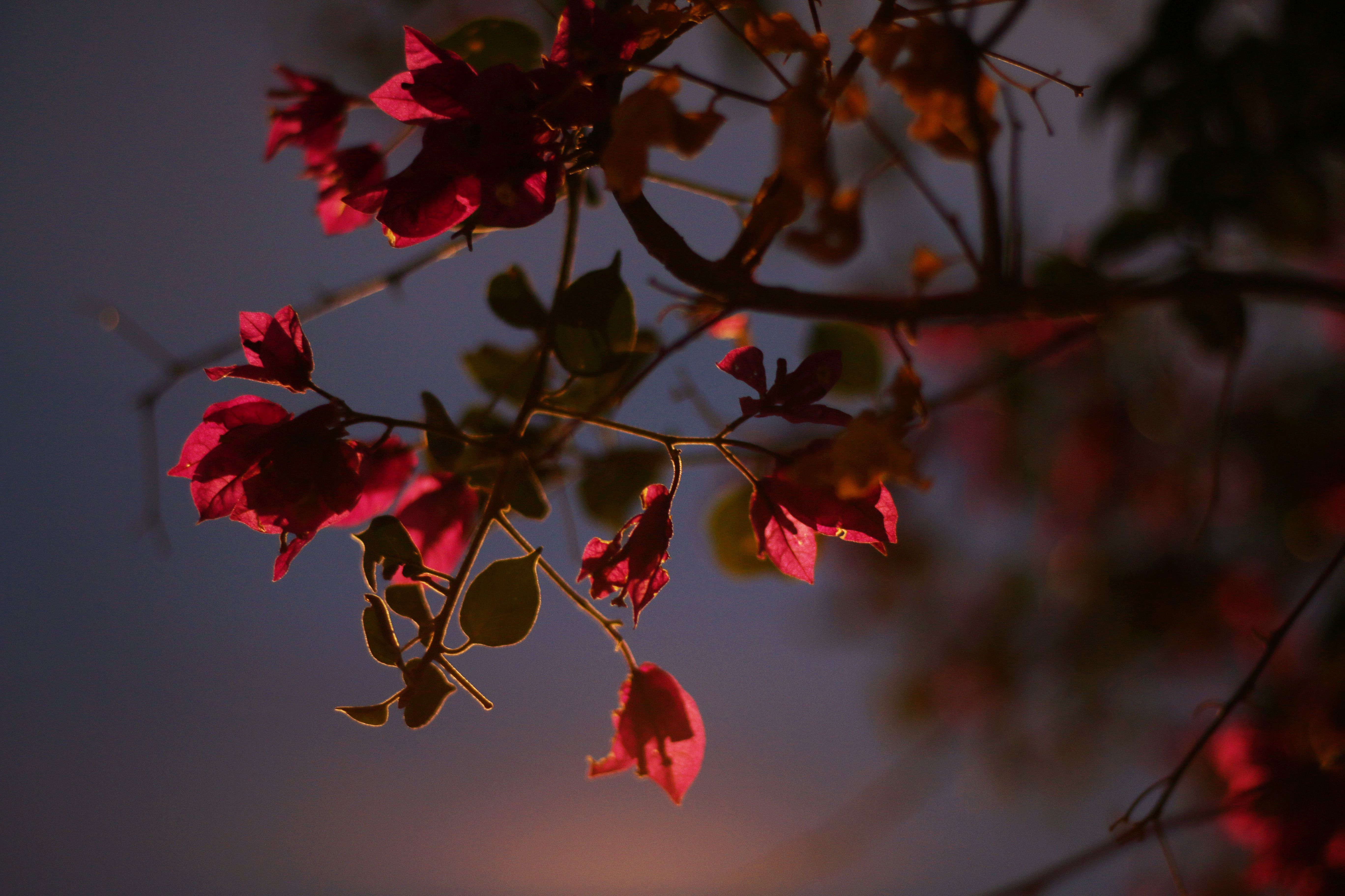 IMG_2835 copy+ copy.jpg