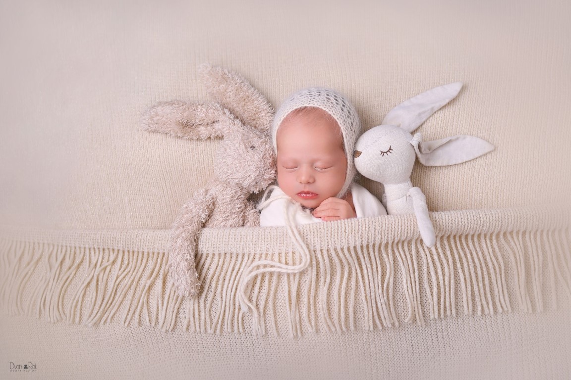 IMG_2843 (Large) (Medium).jpg