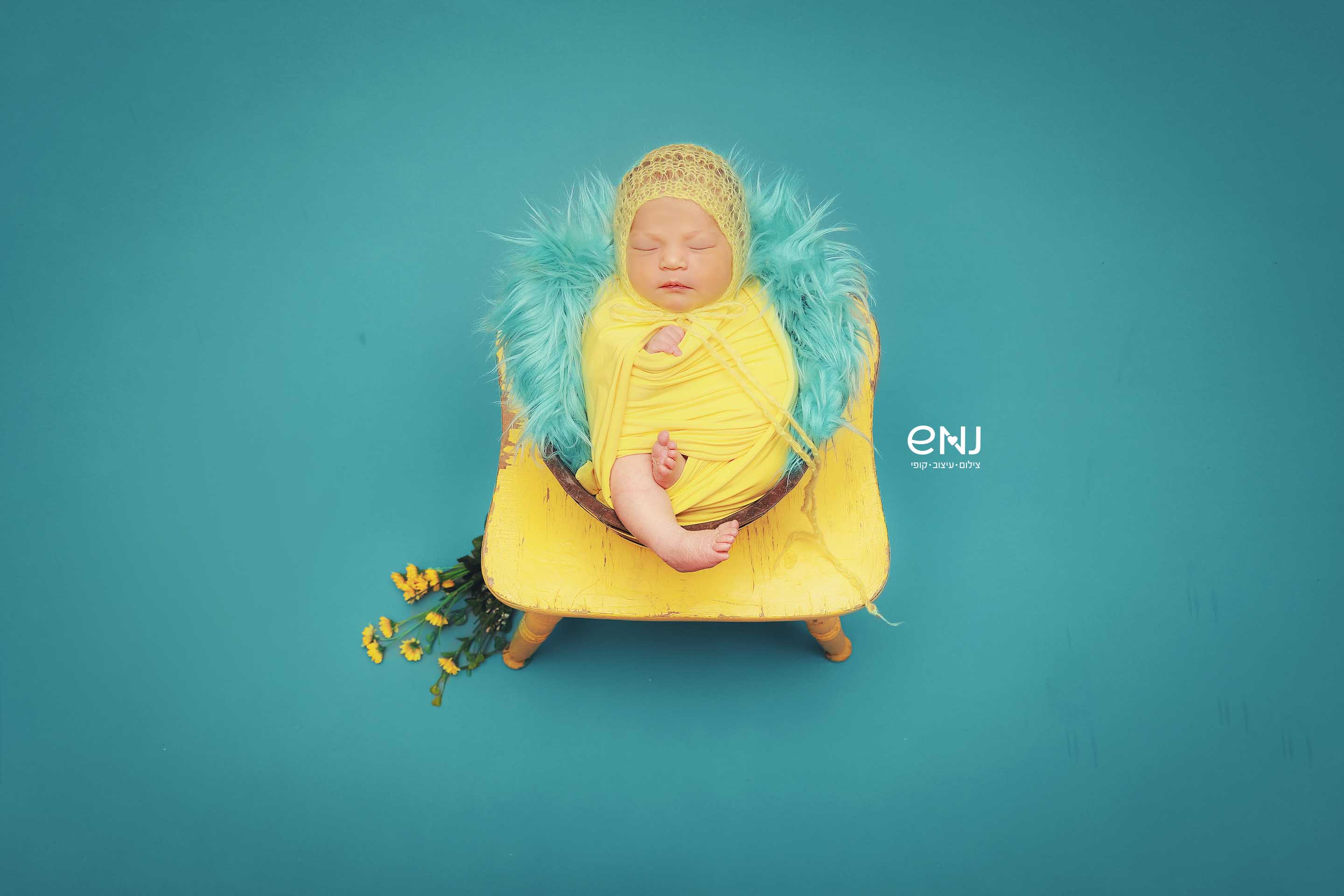 IMG_2953נמוך לוגו.jpg