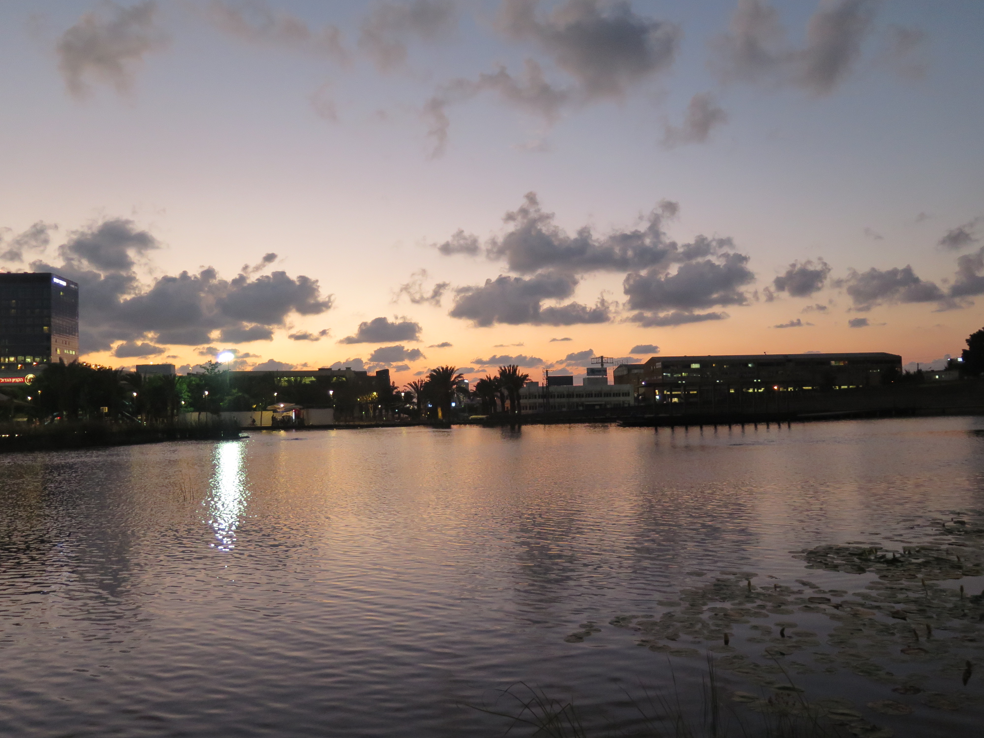 IMG_2973.JPG